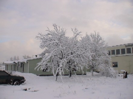 Our building in winter